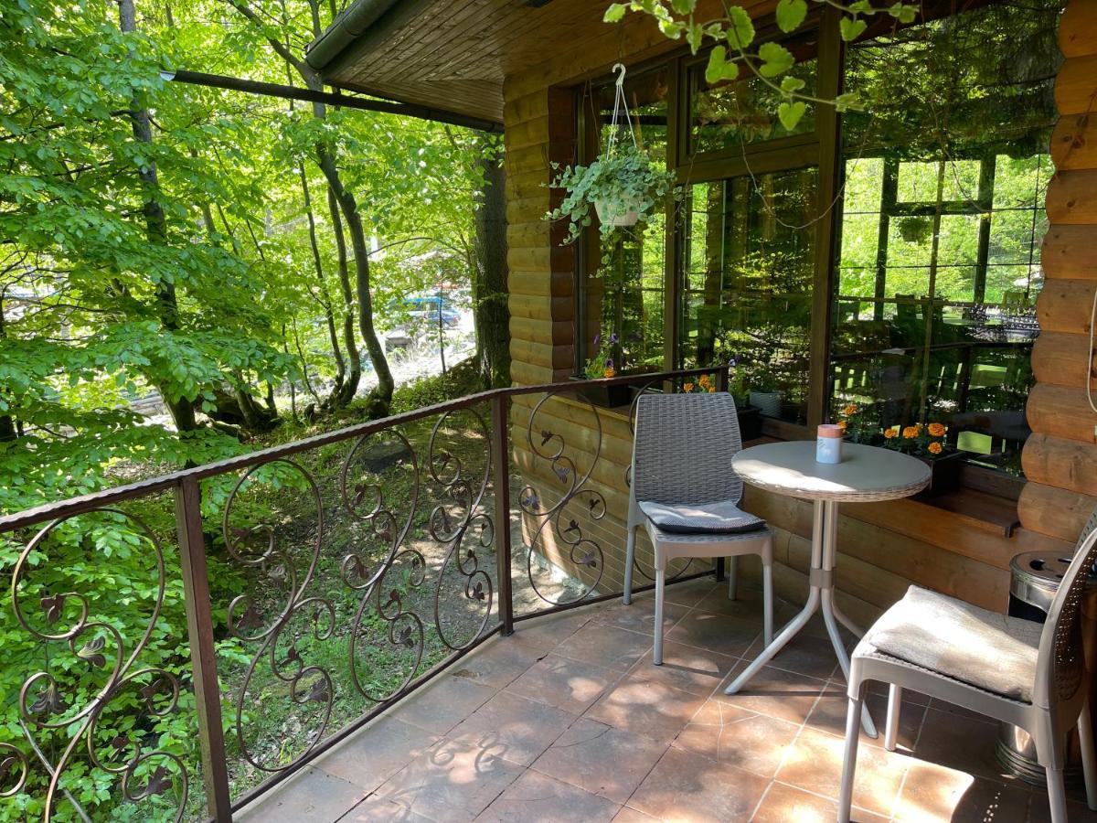 Grunok (Adults Only) Hotel Pilipets Exterior photo